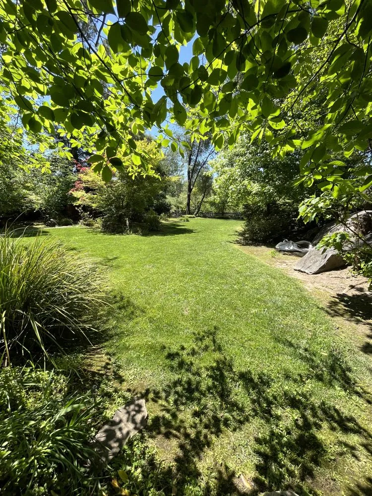 Professional outdoor landscaping for outdoor upgrades in Lincoln, CA by Mendoza Landscaping