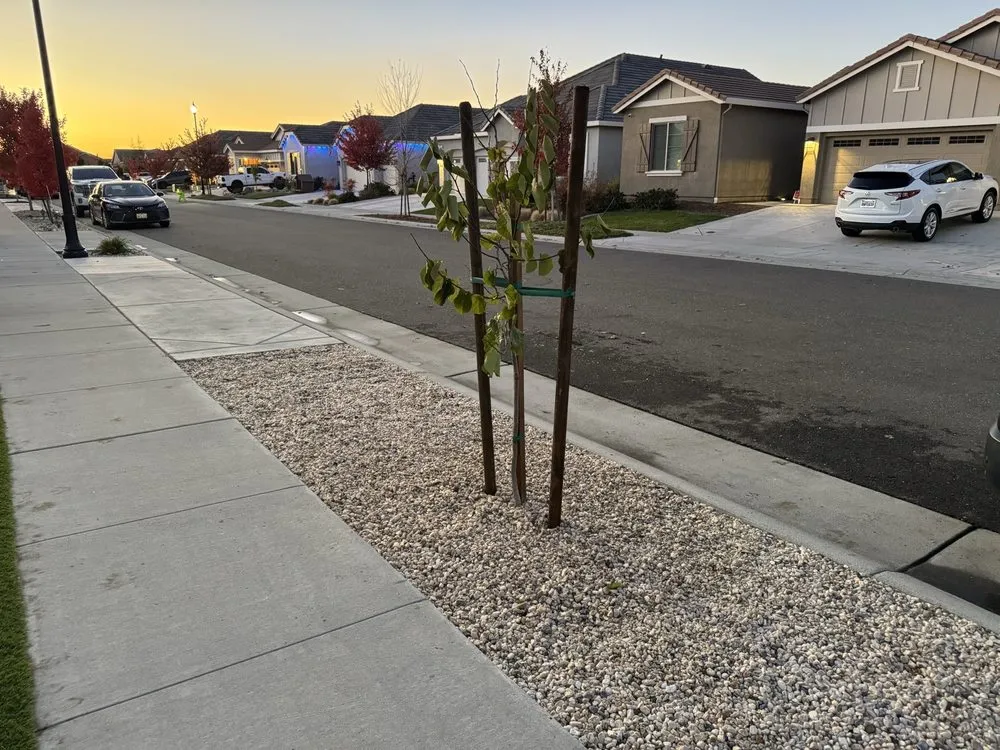 Professional landscape installation for outdoor upgrades across Lincoln, CA - Mendoza Landscaping