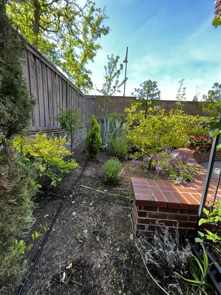 Expert residential landscaping in Lincoln, CA by Mendoza Landscaping