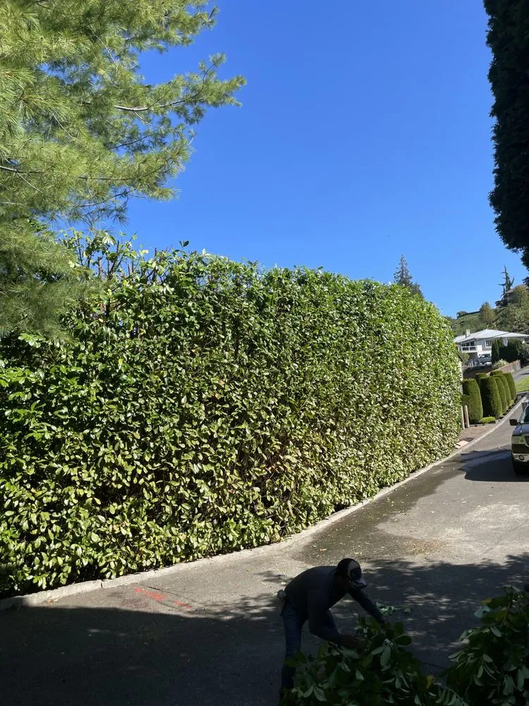 Affordable landscape design experts serving Monroe, WA - Mendoza Landscaping