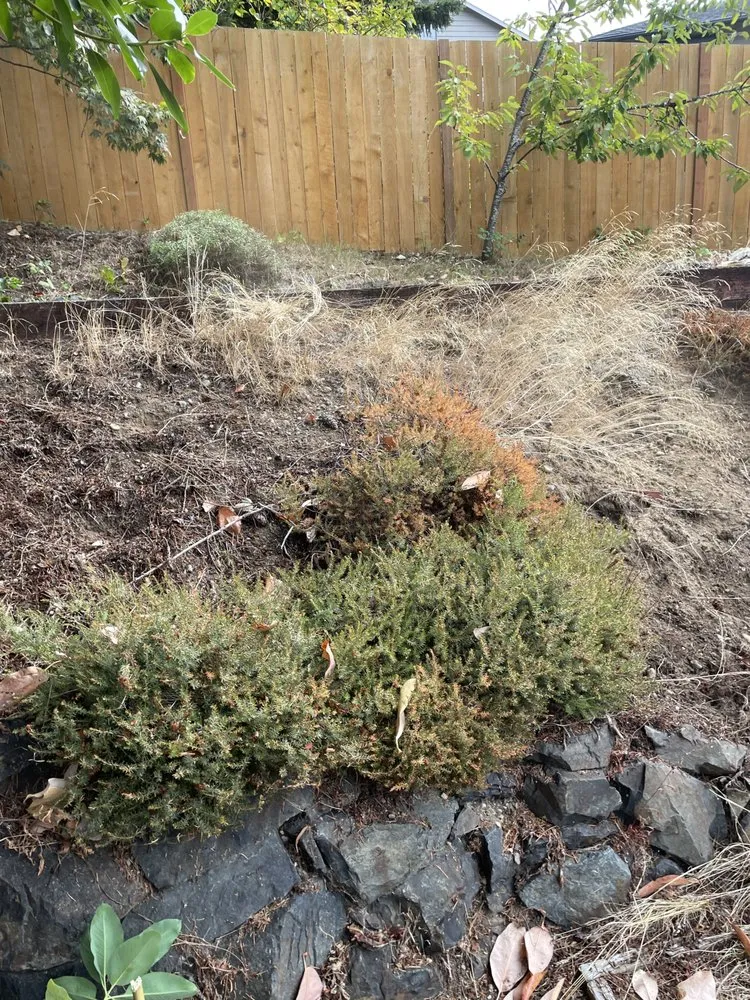 Affordable yard maintenance for residential properties across Monroe, WA - Mendoza Landscaping