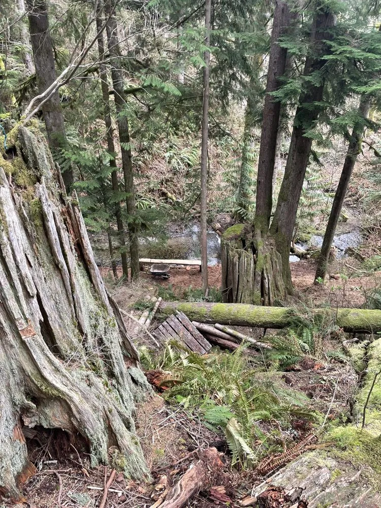 Expert landscape design for beautiful yards in Monroe, WA by Mendoza Landscaping