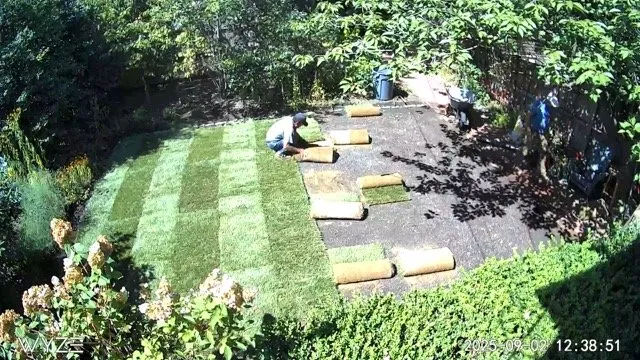 Trusted lawn care service with custom design in New Bedford, MA by Mendoza Landscaping