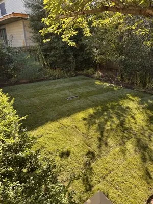 Mendoza Landscaping Logo