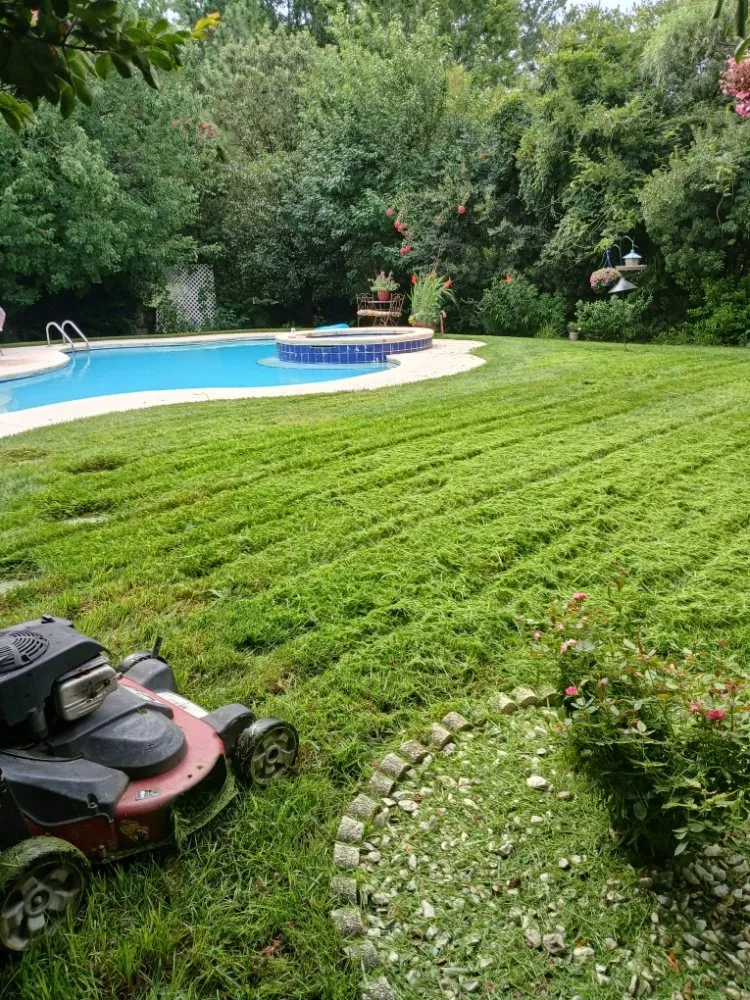 Local residential landscaping for homes in Raleigh, NC by Mendoza Landscaping