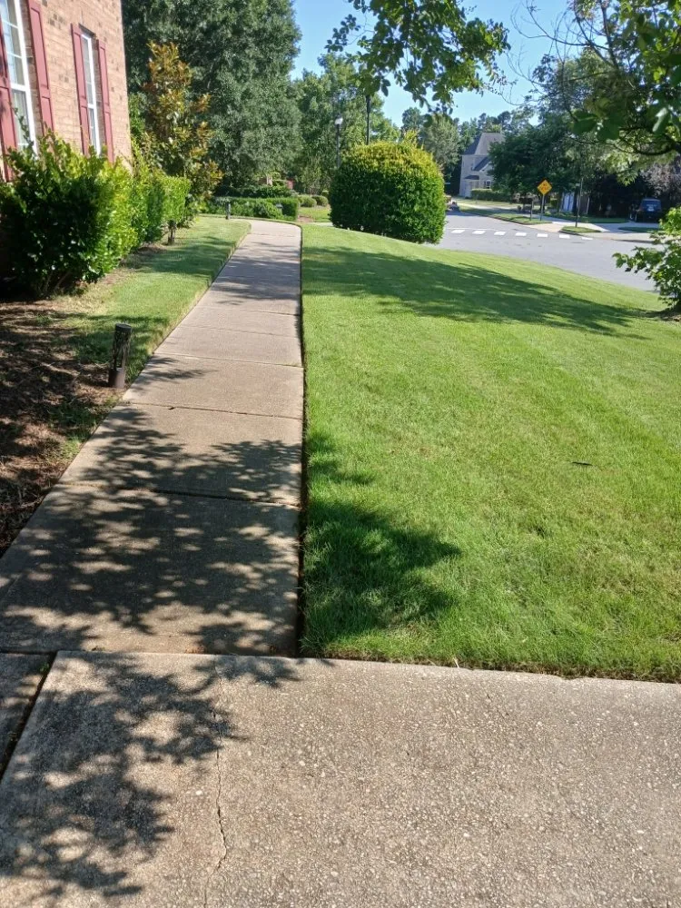 Custom residential landscaping in Raleigh, NC by Mendoza Landscaping