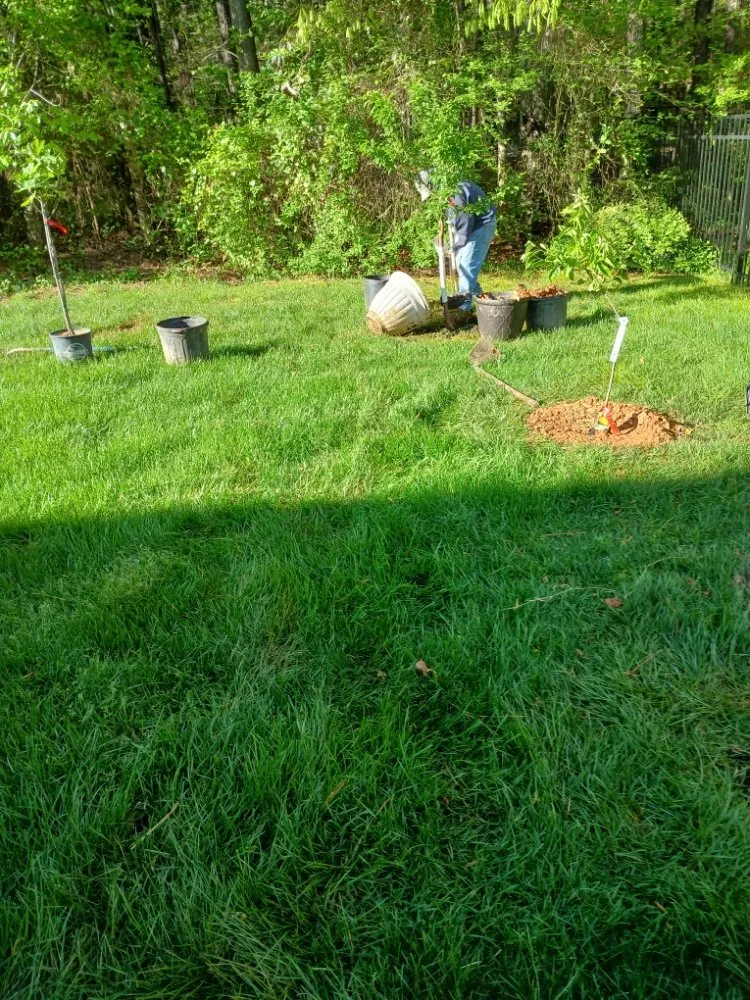 Reliable outdoor landscaping for year-round maintenance in Raleigh, NC by Mendoza Landscaping