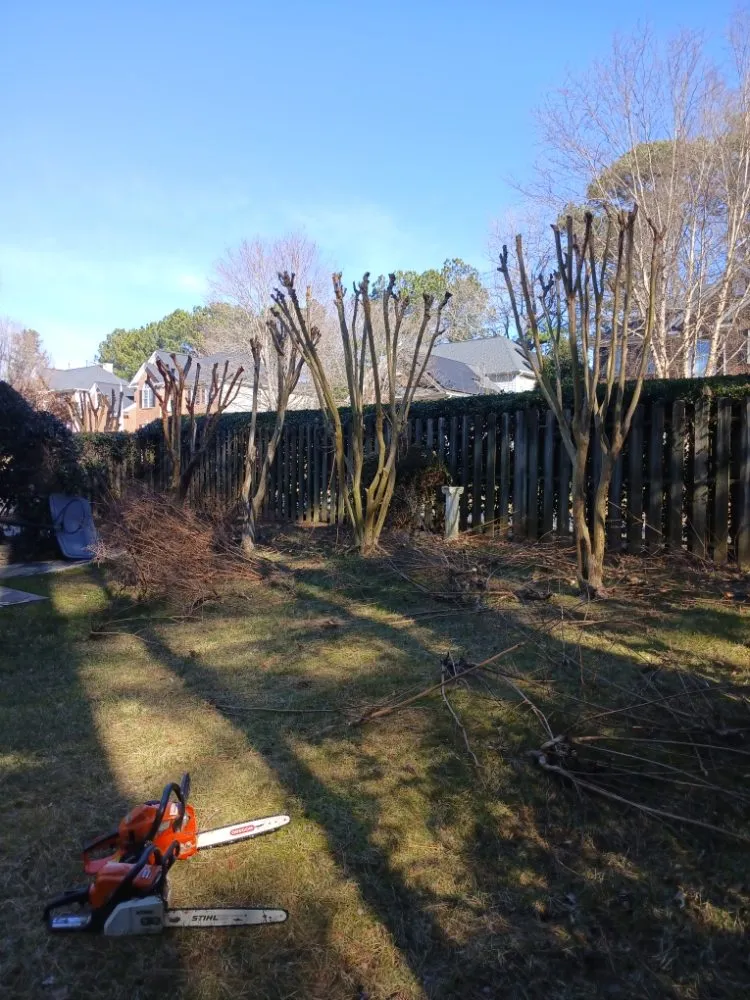 Top-rated lawn mowing service experts serving Raleigh, NC - Mendoza Landscaping