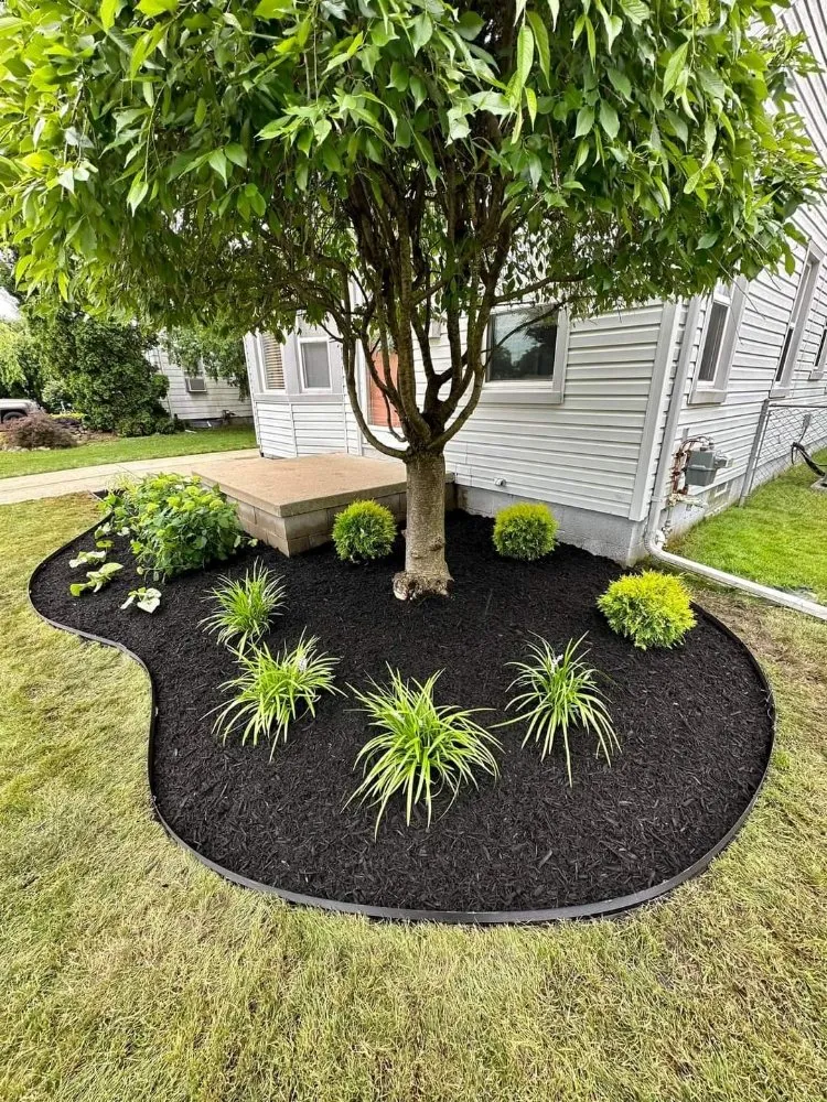 Affordable outdoor landscaping in Raleigh, NC - Mendoza Landscaping