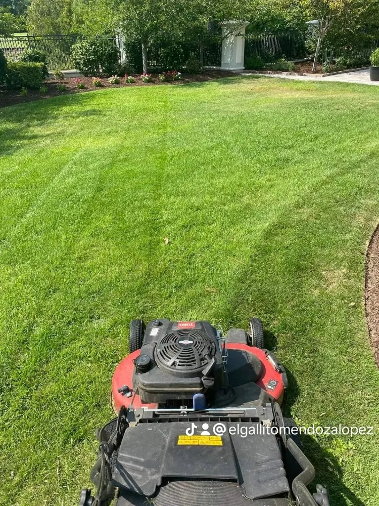 Expert lawn mowing service near you in Raleigh, NC by Mendoza Landscaping