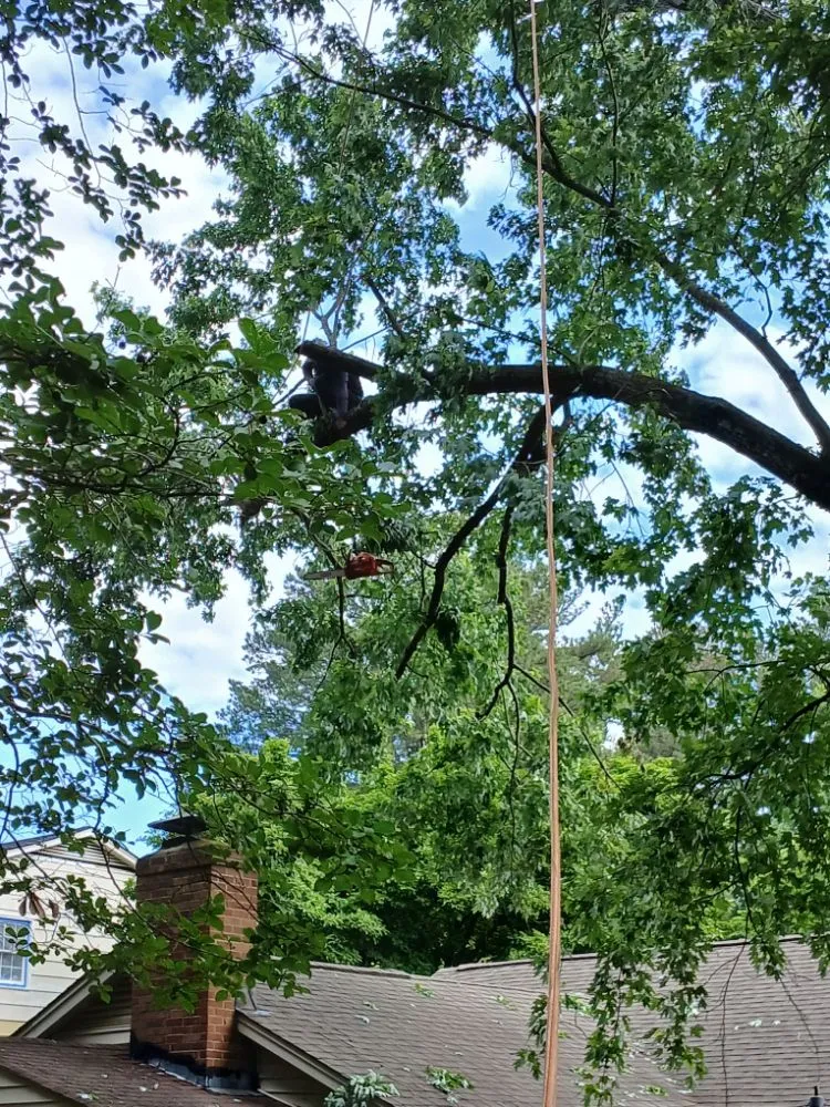 Local residential landscaping for beautiful yards in Raleigh, NC by Mendoza Landscaping