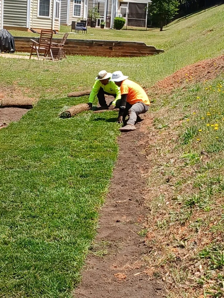 Reliable residential landscaping for homes in Raleigh, NC by Mendoza Landscaping