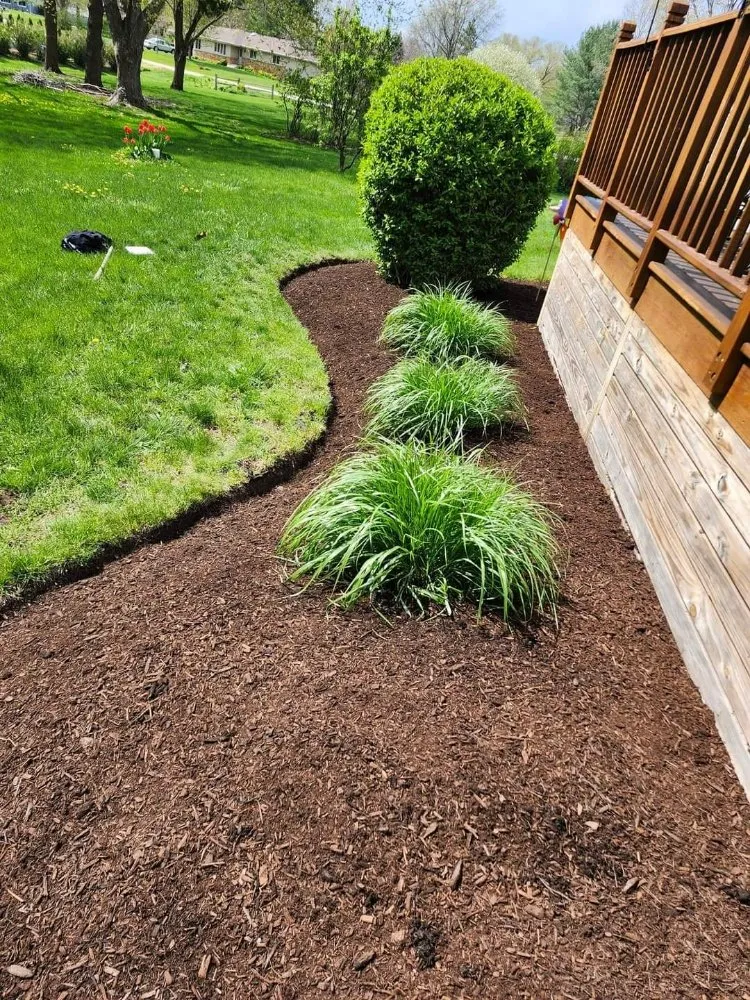 Expert yard maintenance experts serving Raleigh, NC - Mendoza Landscaping