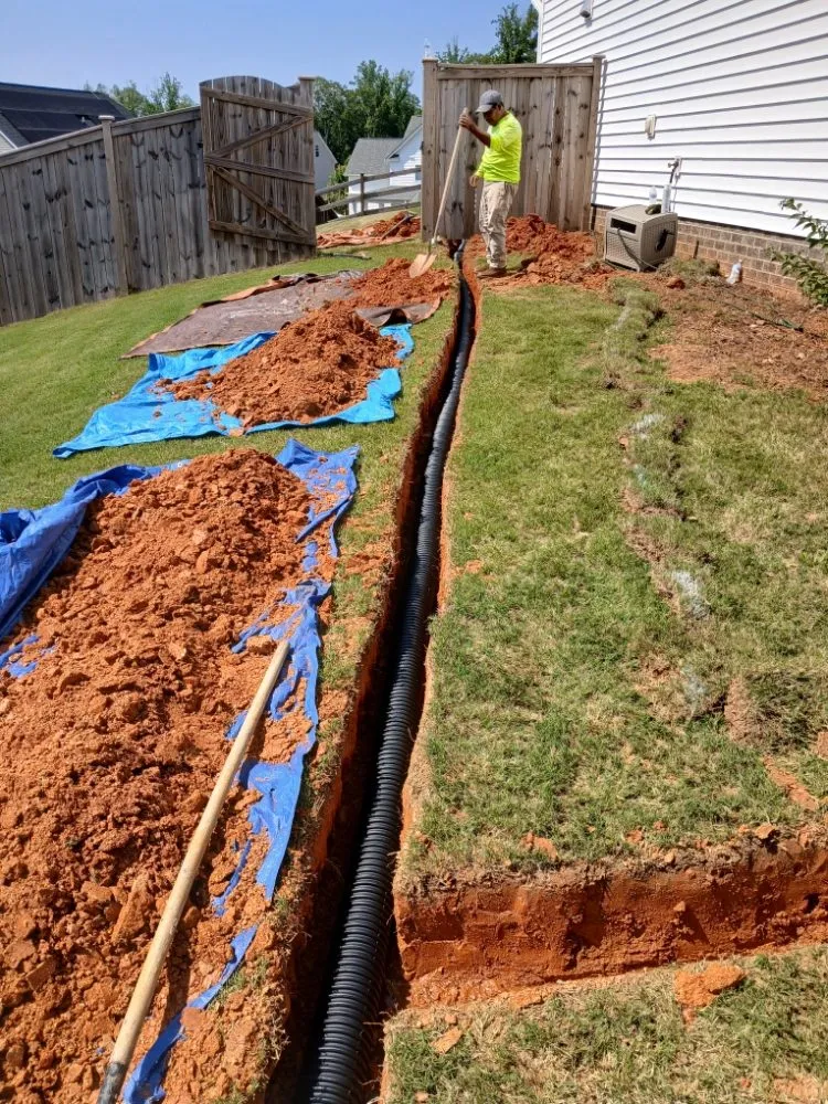 Professional yard cleanup service experts serving Raleigh, NC - Mendoza Landscaping