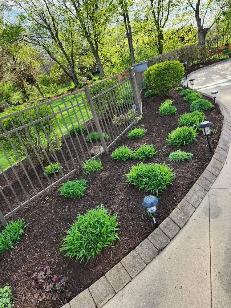 Reliable lawn mowing service for beautiful yards across Raleigh, NC - Mendoza Landscaping