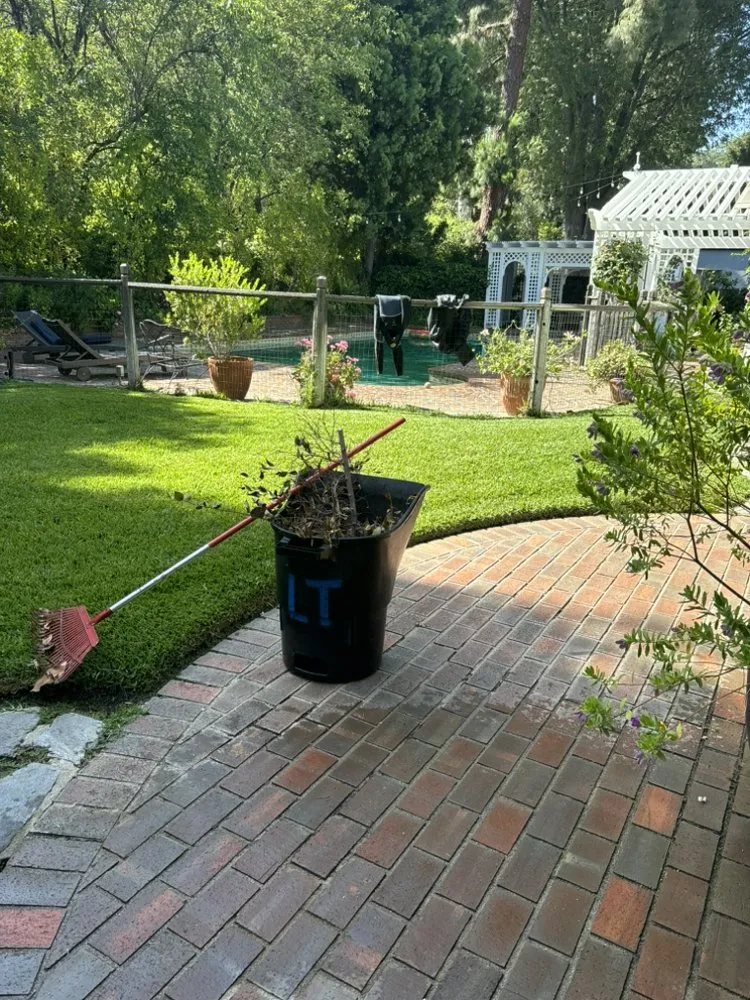 Reliable yard cleanup service in Santa Barbara, CA by Mendoza Landscaping