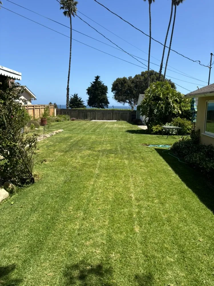 Professional yard cleanup service in Santa Barbara, CA by Mendoza Landscaping