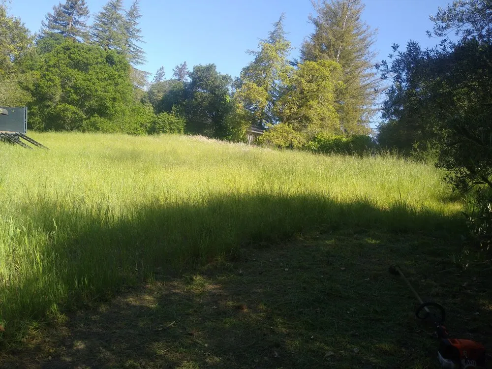 Custom landscape installation in Santa Rosa, CA - Mendoza Landscaping