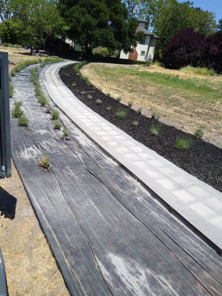 Custom landscape installation in Santa Rosa, CA by Mendoza Landscaping