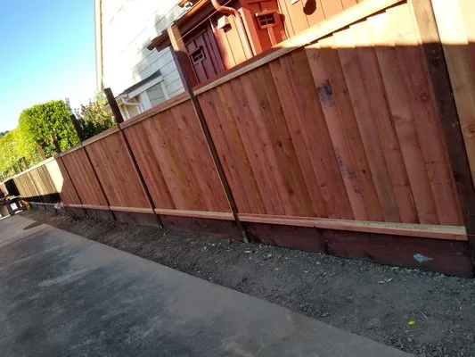 Mendoza Landscaping Logo