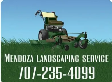 Affordable lawn care service in Windsor, CA by Mendoza Landscaping Service
