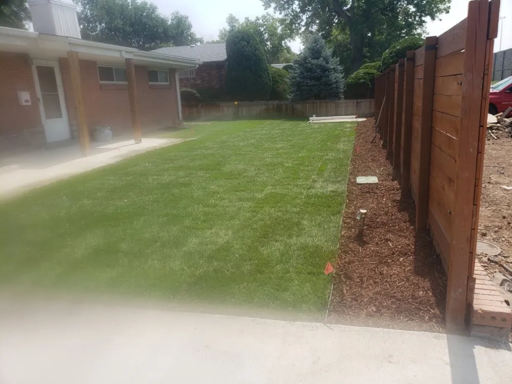 Affordable yard cleanup service for beautiful yards across Sheridan, CO - Mendoza Landscaping