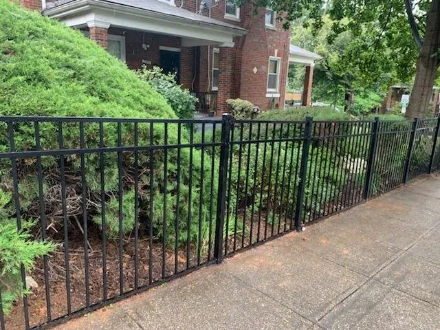 Reliable landscaping services for beautiful yards in Silver Spring, MD by Mendoza Landscaping