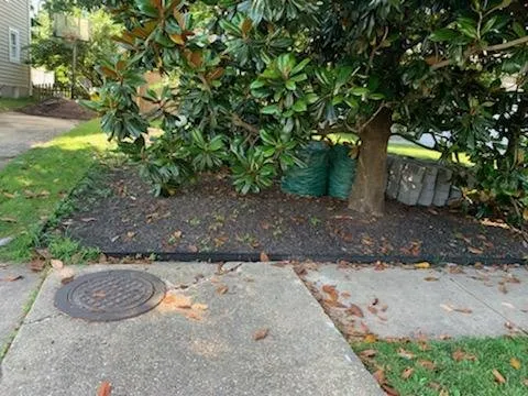 Reliable yard maintenance for year-round maintenance in Silver Spring, MD by Mendoza Landscaping