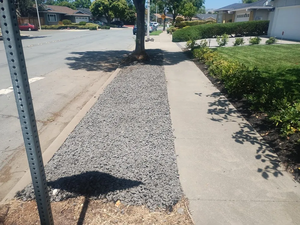 Top-rated yard maintenance for residential properties across San Francisco, CA - Mendoza Landscaping Tree Service