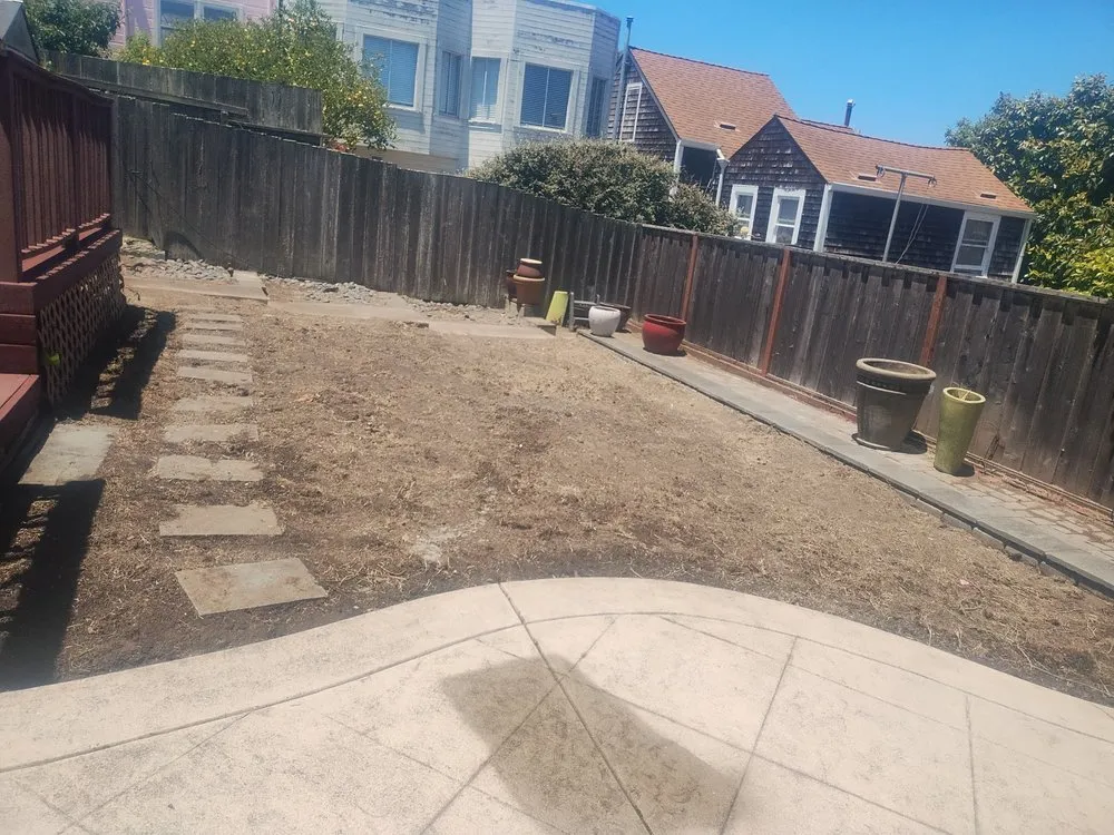 Affordable lawn care service in San Francisco, CA - Mendoza Landscaping Tree Service