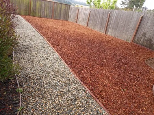 Mendoza Landscaping Tree Service Logo