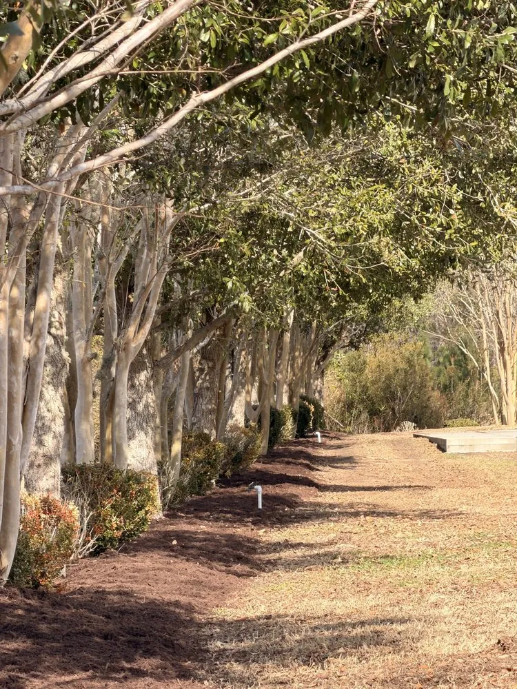 Trusted yard cleanup service experts serving Conway, SC - Mendoza LandWorks