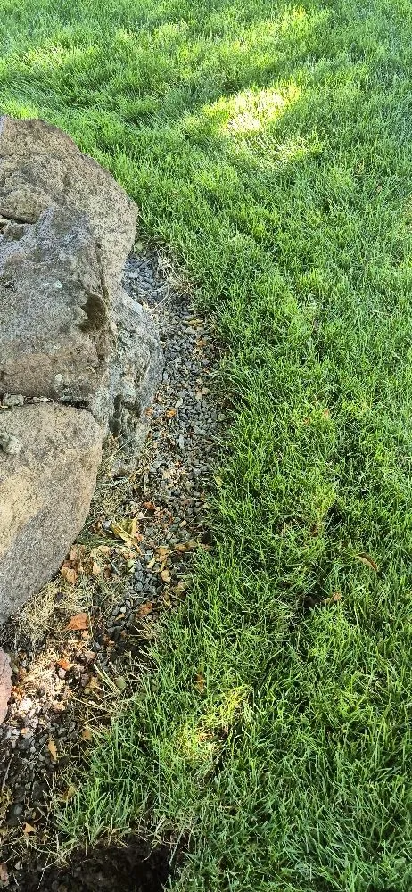 Reliable yard cleanup service in Culver, OR by Mendoza Lawn & Turf Care