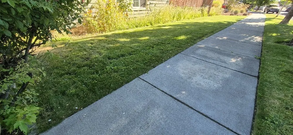 Local yard cleanup service for outdoor upgrades across Culver, OR - Mendoza Lawn & Turf Care