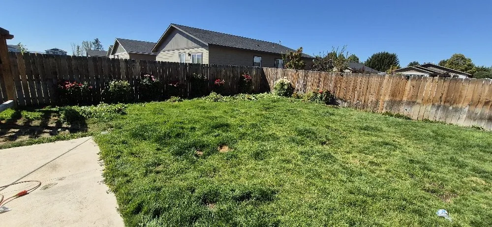 Trusted yard cleanup service experts serving Culver, OR - Mendoza Lawn & Turf Care