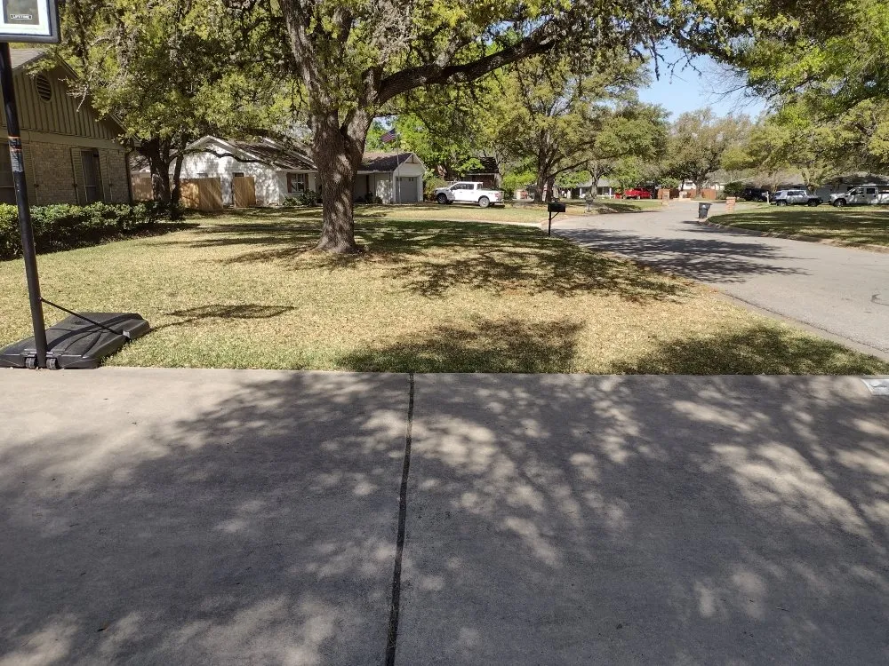 Expert yard cleanup service in Harker Heights, TX - Mendoza Lawn Care & Handyman Service