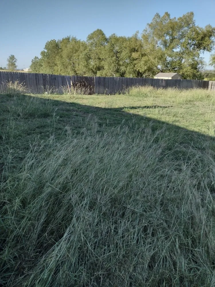 Reliable lawn mowing service with custom design in Harker Heights, TX by Mendoza Lawn Care & Handyman Service