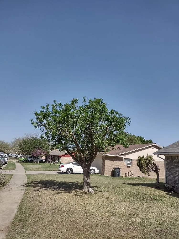 Custom garden landscaping with custom design across Harker Heights, TX - Mendoza Lawn Care & Handyman Service