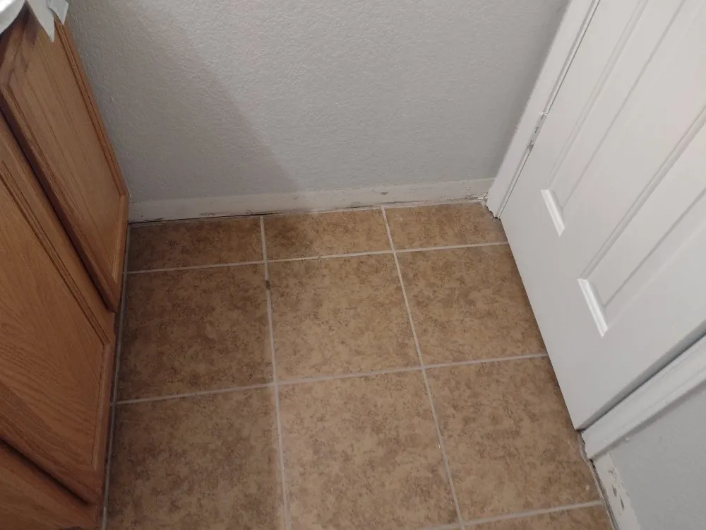 Top-rated residential landscaping for year-round maintenance in Harker Heights, TX by Mendoza Lawn Care & Handyman Service