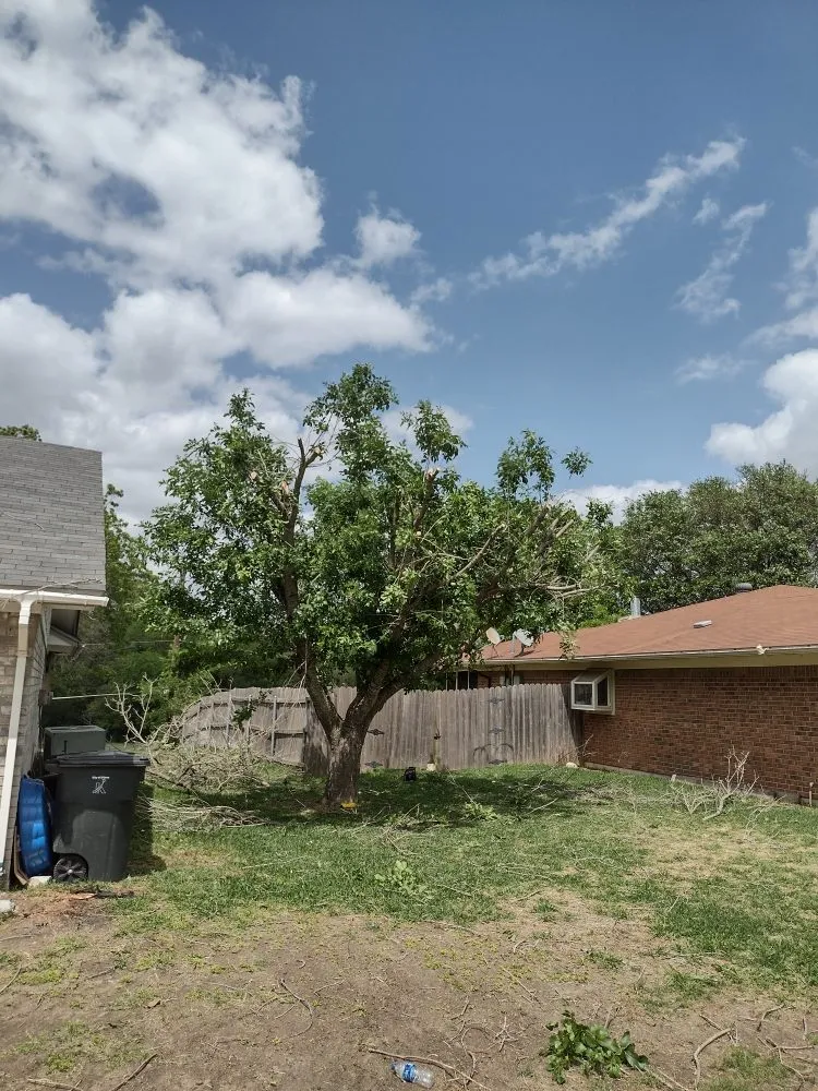 Custom yard cleanup service near you across Harker Heights, TX - Mendoza Lawn Care & Handyman Service