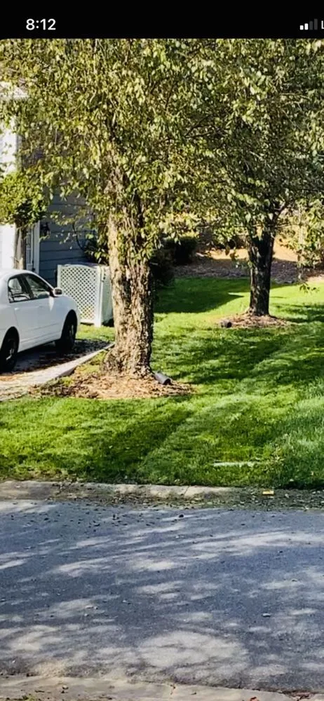 Professional residential landscaping experts serving Monroe, NC - Mendoza Lawn Care and Landscaping