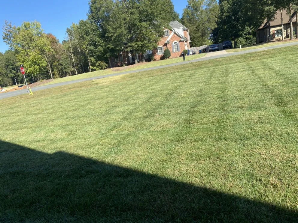 Top-rated yard cleanup service near you in Monroe, NC by Mendoza Lawn Care and Landscaping