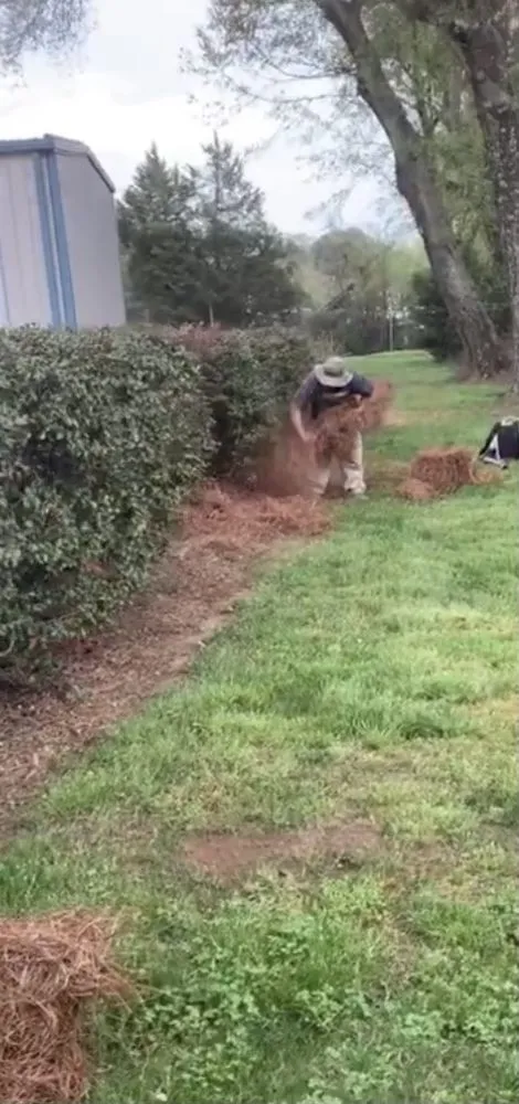 Local landscape installation in Monroe, NC by Mendoza Lawn Care and Landscaping