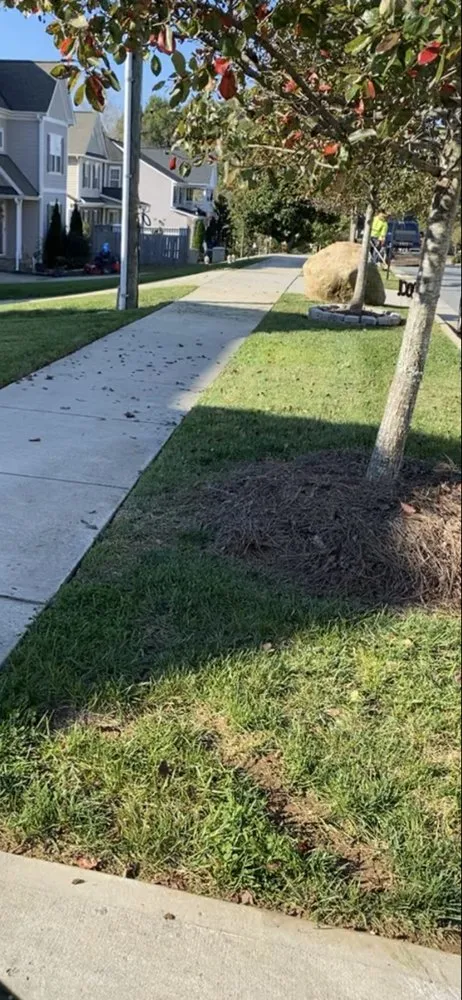 Custom landscape design experts serving Monroe, NC - Mendoza Lawn Care and Landscaping