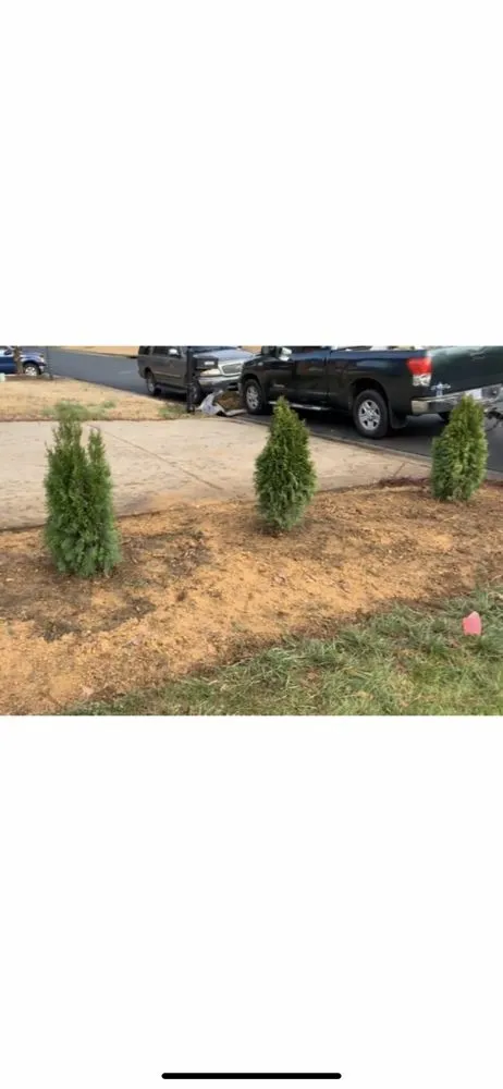 Top-rated yard maintenance in Monroe, NC - Mendoza Lawn Care and Landscaping