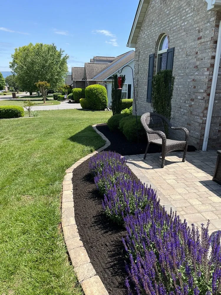 Local yard cleanup service experts serving Maryville, TN - Mendoza Lawn Care