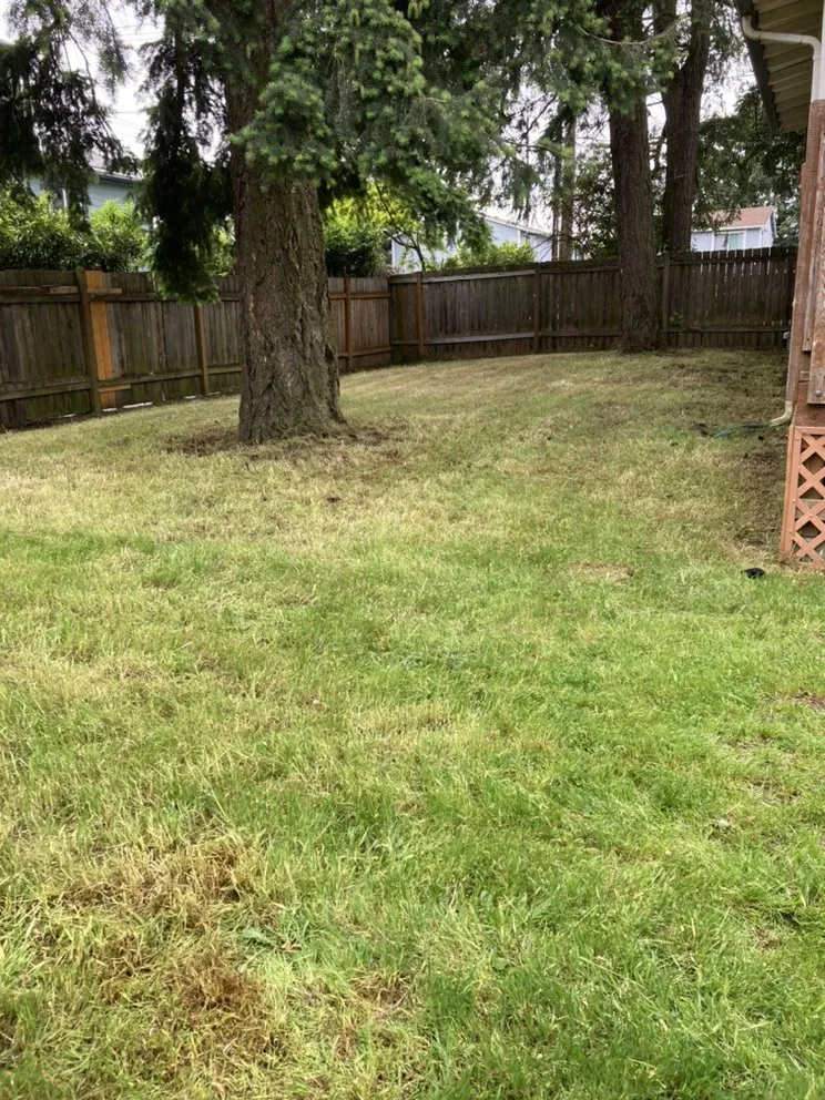 Reliable lawn care service for residential properties in Portland, OR by Mendoza Lawn Care