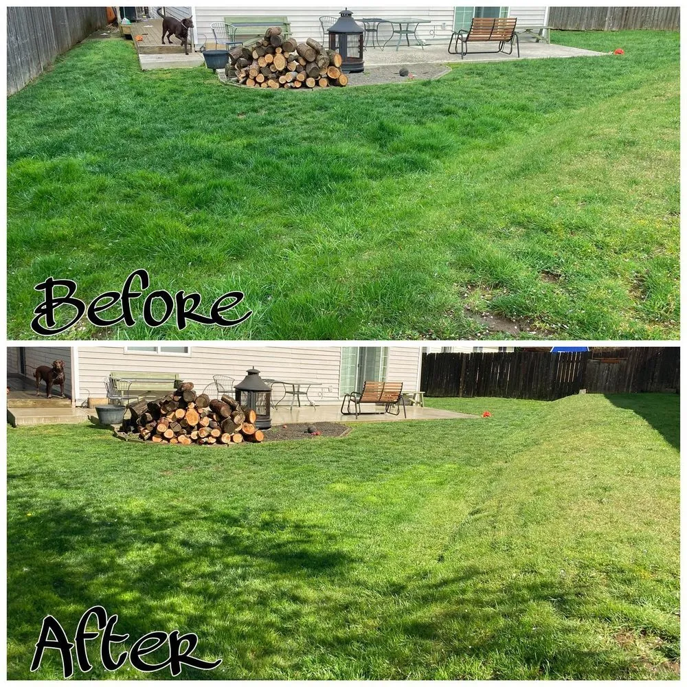 Top-rated yard maintenance experts serving Portland, OR - Mendoza Lawn Care