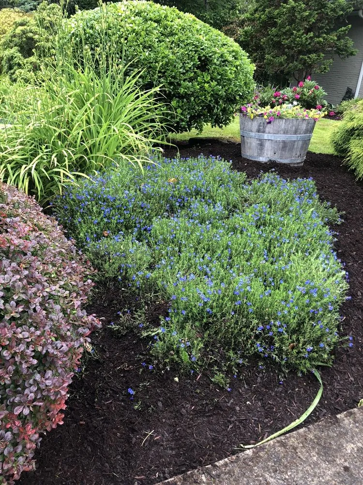 Reliable landscape installation experts serving Portland, OR - Mendoza Lawn Care