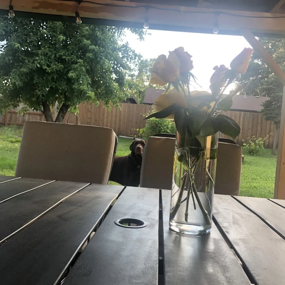 Affordable landscaping services experts serving Portland, OR - Mendoza Lawn Care